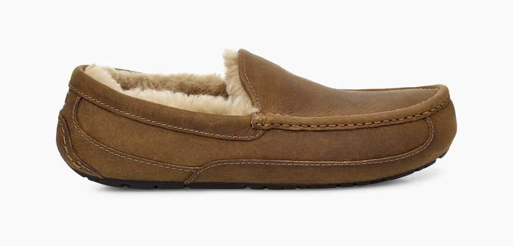 Ugg Slipper Mens - Ugg Ascot Brown - 163FMXPTS